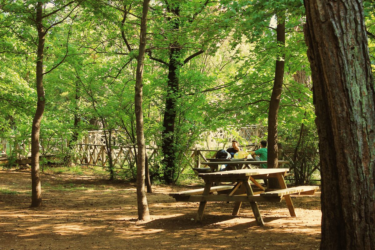 Parques poco conocidos ideales para un picnic tranquilo