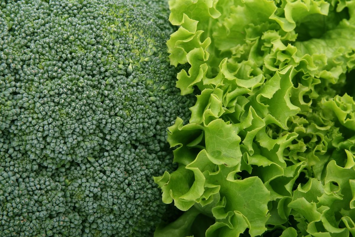 Alimentación antiinflamatoria: qué comer y qué evitar