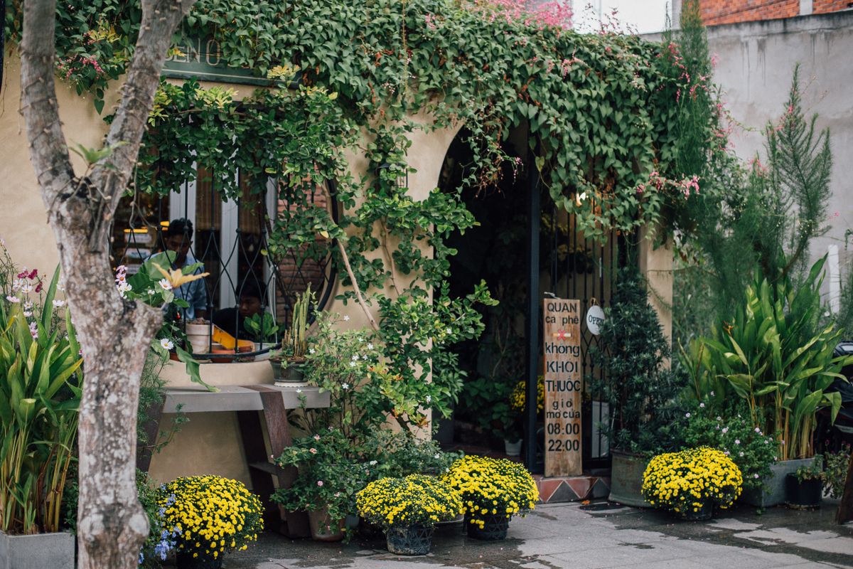Guía para regalar flores, plantas y experiencias al aire libre