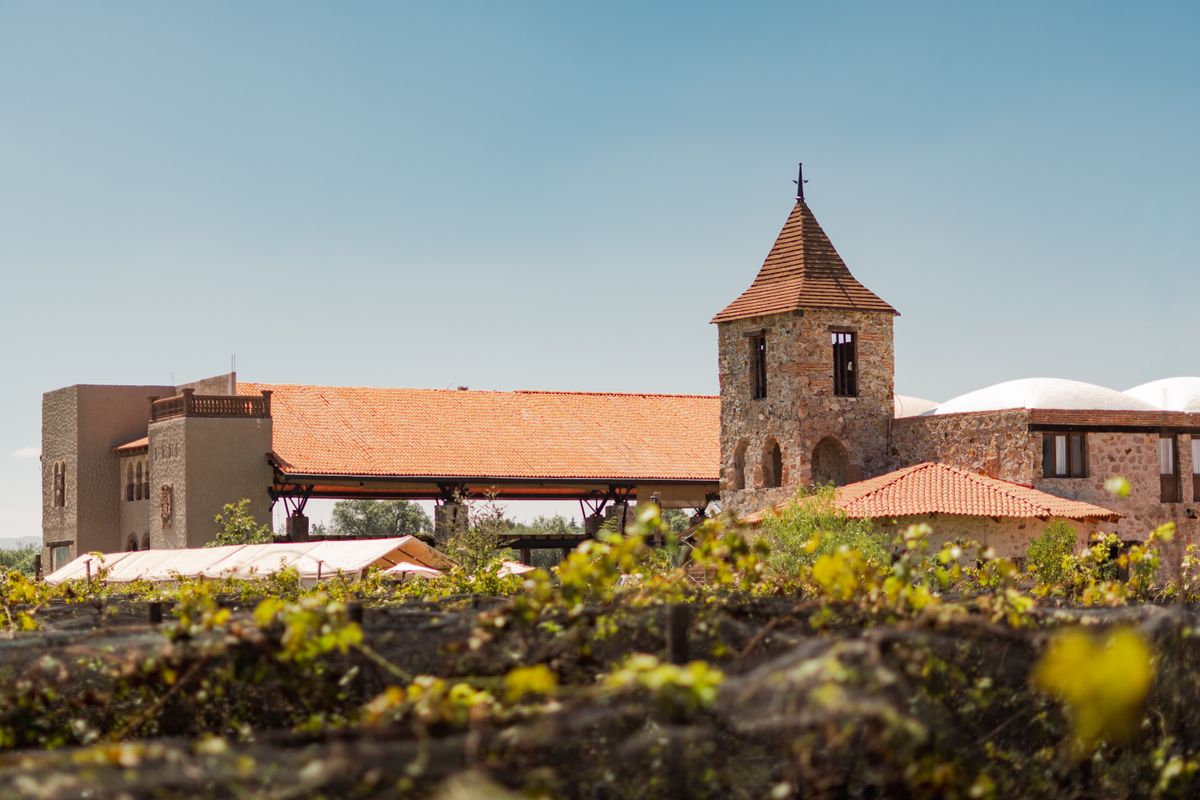 La ruta del vino en el norte del país